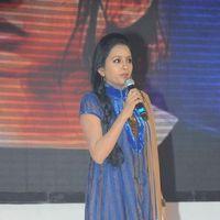 Andhala Rakshasi telugu movie Audio Release Function Photos | Picture 205875