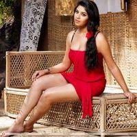 Richa Gangopadhyay Hot Photos | Picture 206242