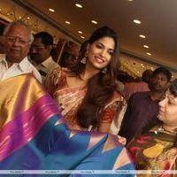 Parvathy Omanakuttan at Palam Silks Launch Stills | Picture 208306