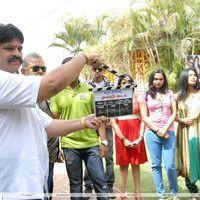 Kalpana Creations Pro. No. 3 and 4 Movies Opening Stills | Picture 209492