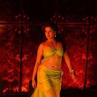 Lakshmi Rai New Hot & Spicy Stills | Picture 212682