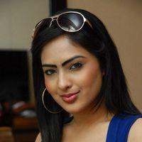 Nikesha Patel Hot Photos | Picture 212419