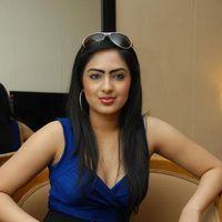 Nikesha Patel Hot Photos | Picture 212421