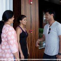 SIIMA Awards First Day in Dubai - Photos | Picture 215069