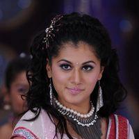 Tapsee Latest Stills | Picture 214643