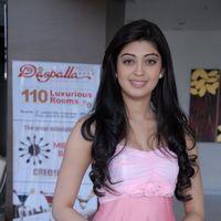 Pranitha at Saguni Movie Success Meet Cute Photos | Picture 216931
