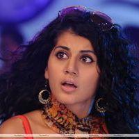 Tapsee Cute Stills | Picture 218155