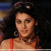 Tapsee Cute Stills | Picture 218159