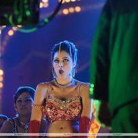 Parvathi Melton Hot in Poovai Poovai Song - Stills | Picture 174847