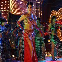 Parvathi Melton Hot in Poovai Poovai Song - Stills | Picture 174849