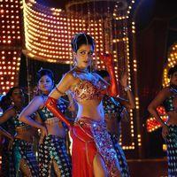 Parvathi Melton Hot in Poovai Poovai Song - Stills | Picture 174855