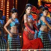 Parvathi Melton Hot in Poovai Poovai Song - Stills | Picture 174864