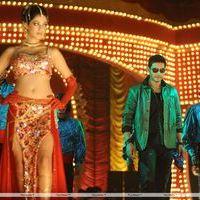 Parvathi Melton Hot in Poovai Poovai Song - Stills | Picture 174888