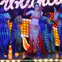 Parvathi Melton Hot in Poovai Poovai Song - Stills | Picture 174898
