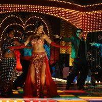 Parvathi Melton Hot in Poovai Poovai Song - Stills | Picture 174944