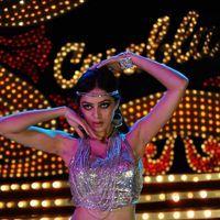 Parvathi Melton Hot in Poovai Poovai Song - Stills | Picture 174952