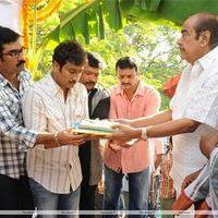 Baadshah Movie Opening | Picture 179387