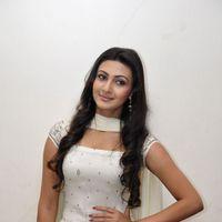 Neelam Upadhyay Stills | Picture 180024