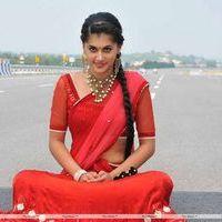 Tapsee Latest Stills | Picture 182739