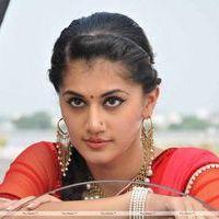 Tapsee Latest Stills | Picture 182743