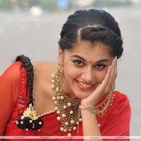 Tapsee Latest Stills | Picture 182744