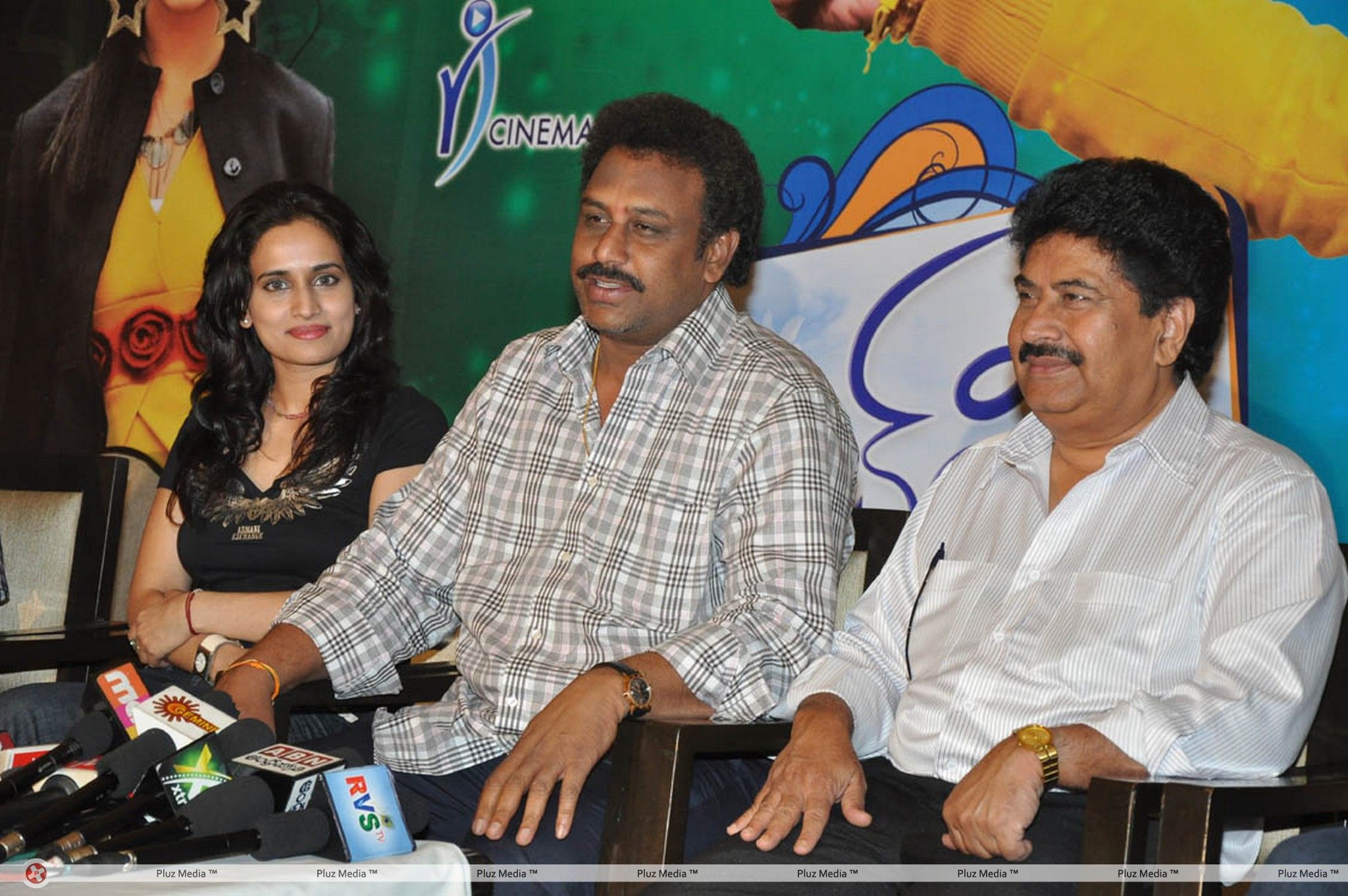 Lovely Success Meet Pictures | Picture 184293