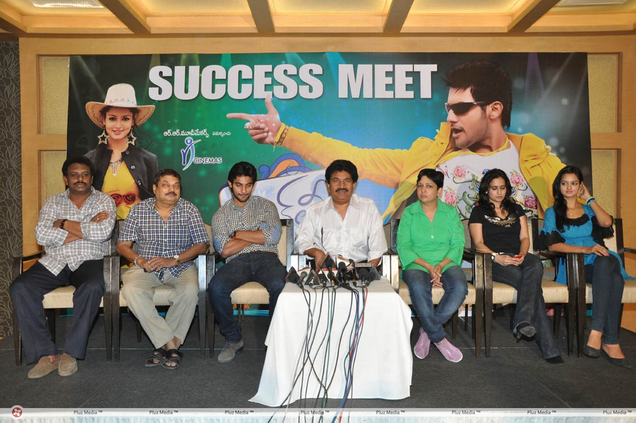 Lovely Success Meet Pictures | Picture 184294