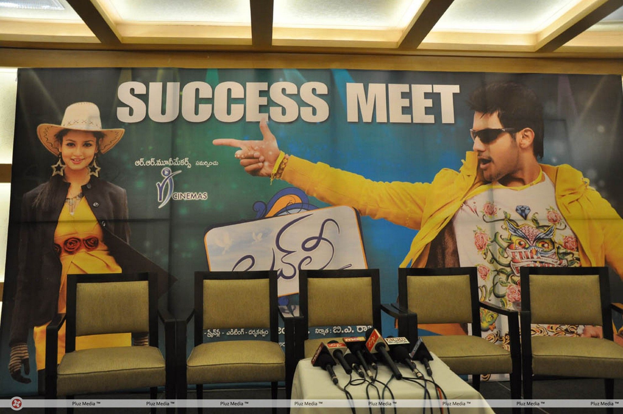 Lovely Success Meet Pictures | Picture 184303