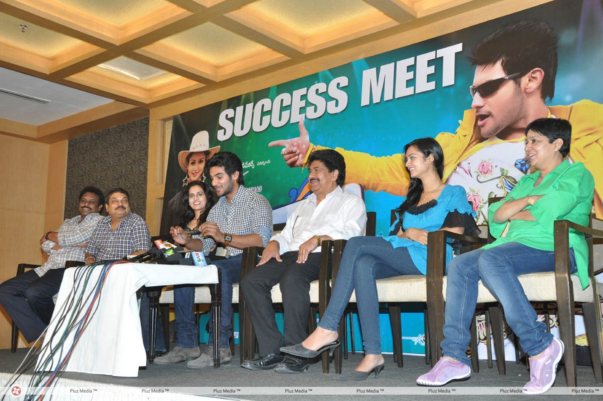 Lovely Success Meet Pictures | Picture 184313