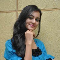 Shanvi At Lovely Success Meet Photos | Picture 184325
