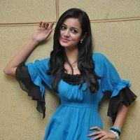 Shanvi At Lovely Success Meet Photos | Picture 184326