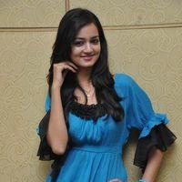 Shanvi At Lovely Success Meet Photos | Picture 184340