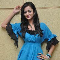 Shanvi At Lovely Success Meet Photos | Picture 184351