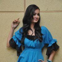 Shanvi At Lovely Success Meet Photos | Picture 184368