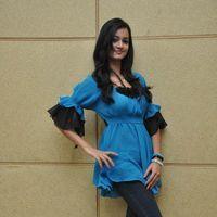 Shanvi At Lovely Success Meet Photos | Picture 184370