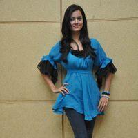 Shanvi At Lovely Success Meet Photos | Picture 184376
