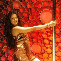Lakshmi Rai Hot Stills From Adhinayakudu Movie | Picture 203680