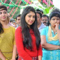 Neetu Taylor Latest Photos At Pelli Pustakam Movie Opening | Picture 310282