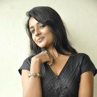 Amitha Rao New Stills at Chemistry Movie Press Meet | Picture 310764
