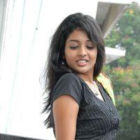 Amitha Rao New Stills at Chemistry Movie Press Meet | Picture 311212