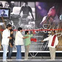 D/O Ramgopal Varma Movie Logo Launch Pictures | Picture 310752