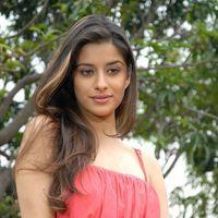 Madhurima Latest Photos at 101A Movie Opening | Picture 313808