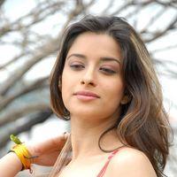 Madhurima Latest Photos at 101A Movie Opening | Picture 313827