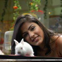 Riya New Cute Stills | Picture 316678