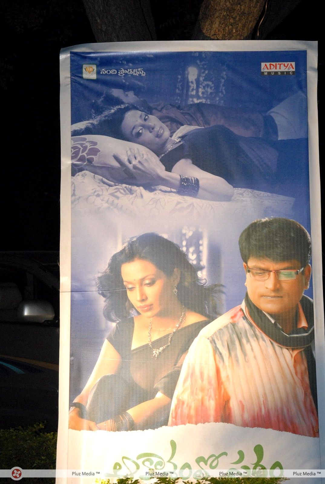 Akasamlo Sagam Movie Audio Launch Stills | Picture 317830