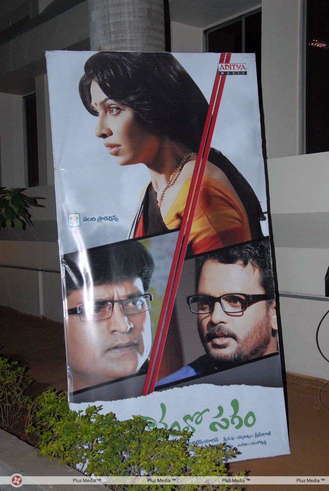 Akasamlo Sagam Movie Audio Launch Stills | Picture 317835