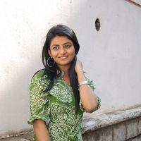 Rakshita Latest Photos at Busstop Movie Success Meet | Picture 320373
