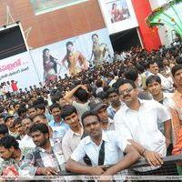 South India Shopping Mall Opening Photos | Picture 290101