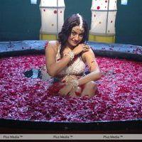 Sonia Agarwal - Kathanayaki Movie Spicy Stills | Picture 291312