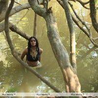 Karthika Nair - Ravi Varma Movie Hot Stills | Picture 291328